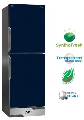 Walton WFB-2E0-GKXA-SX-P Refrigerator 250L